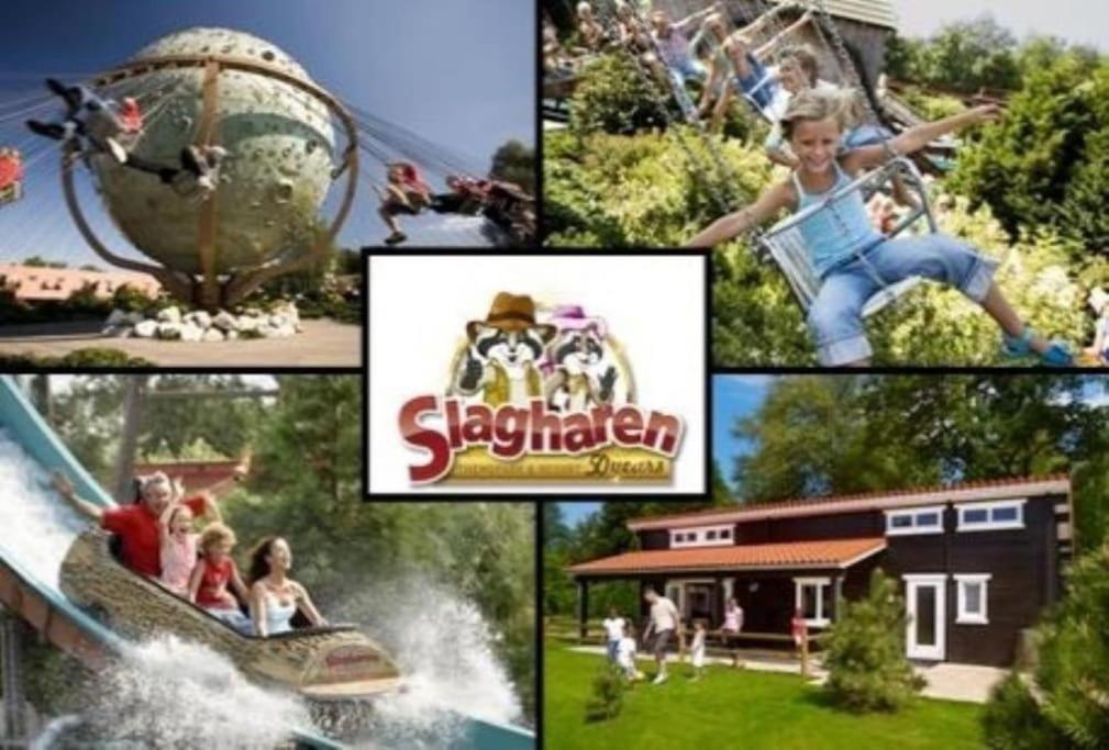 Marienberg Camping De Pallegarste Chalet 119 מראה חיצוני תמונה